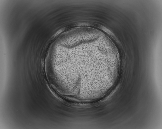 X0000086280841200704191944