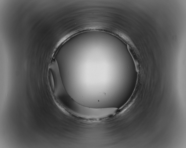 X0000086280842200704191944