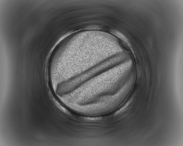 X0000086280843200704191944