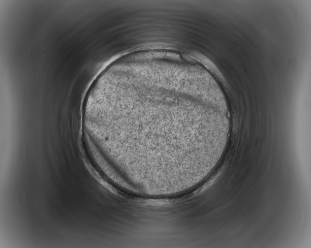 X0000086280844200704191944