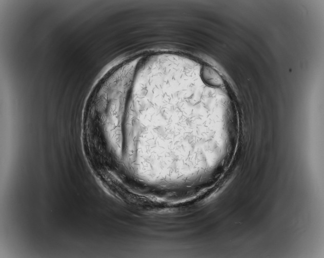 X0000086280845200704191944