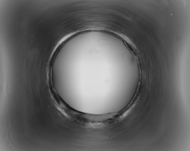 X0000086280846200704191944