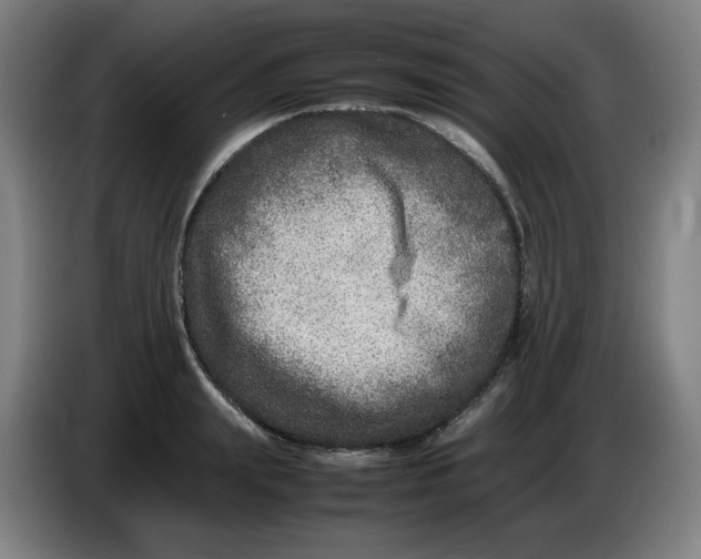 X0000086280847200704191944