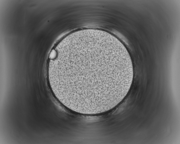 X0000086280848200704191944