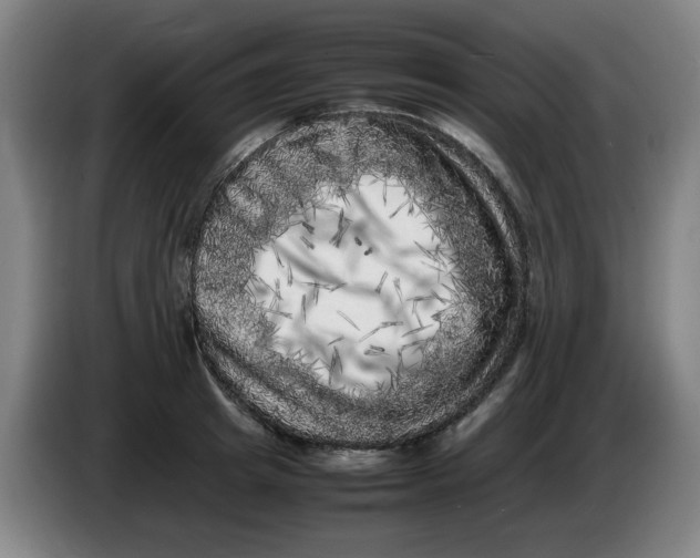 X0000086280849200704191944