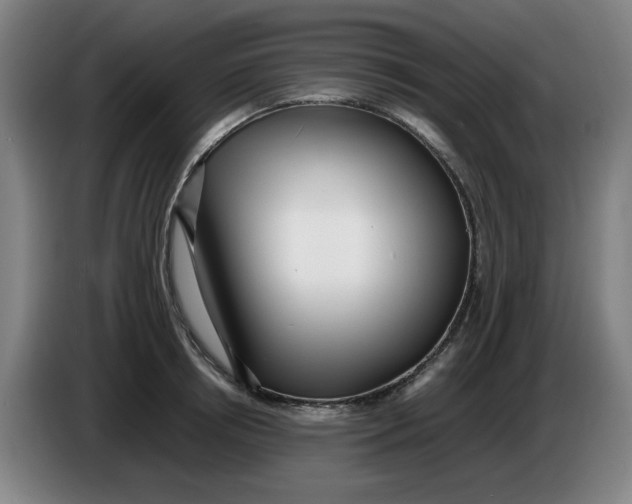 X0000086280850200704191944