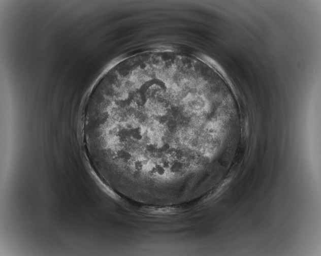 X0000086280851200704191944