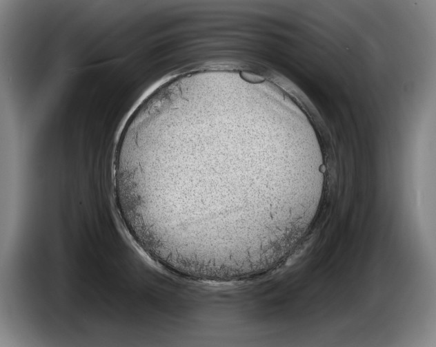 X0000086280852200704191944