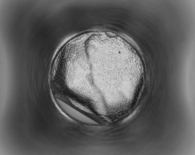 X0000086280855200704191944