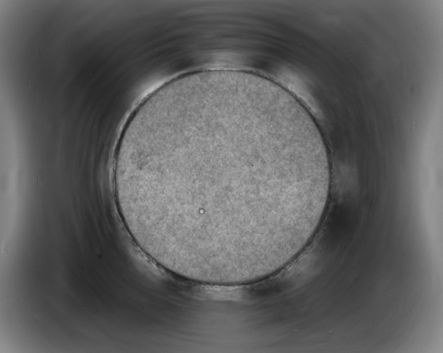 X0000086280856200704191944