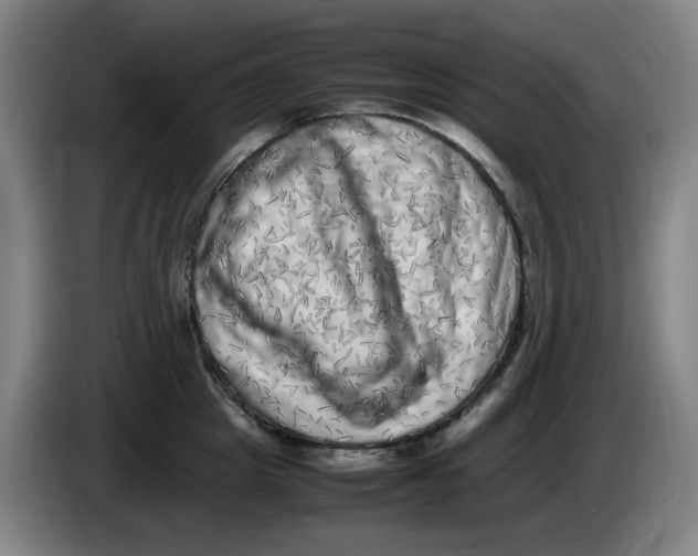 X0000086280857200704191944