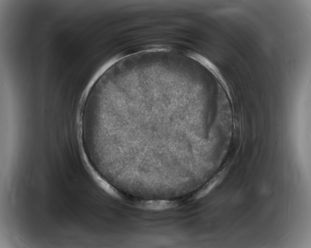 X0000086280859200704191945