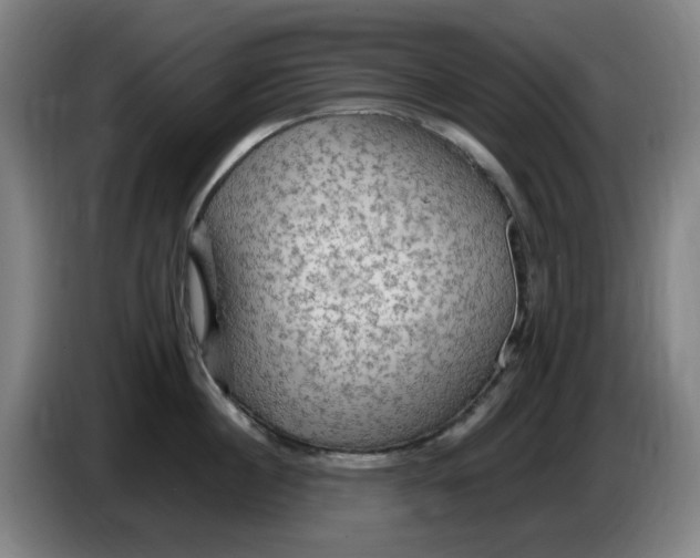 X0000086280860200704191945