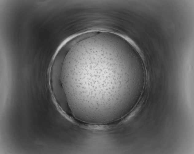 X0000086280862200704191945