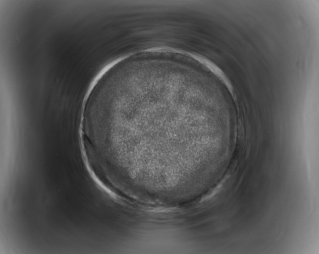 X0000086280863200704191945