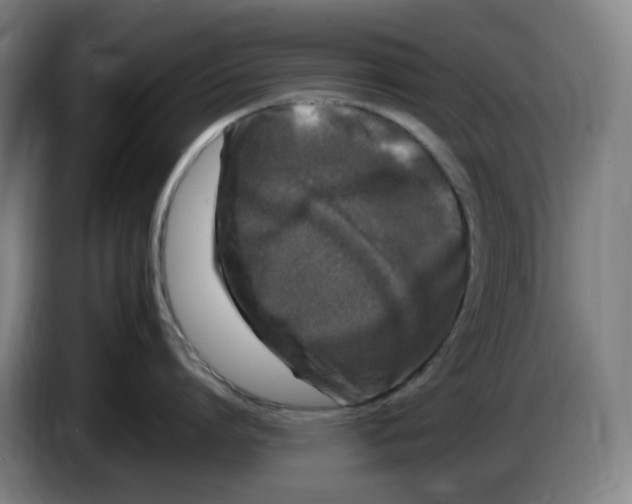 X0000086280864200704191945