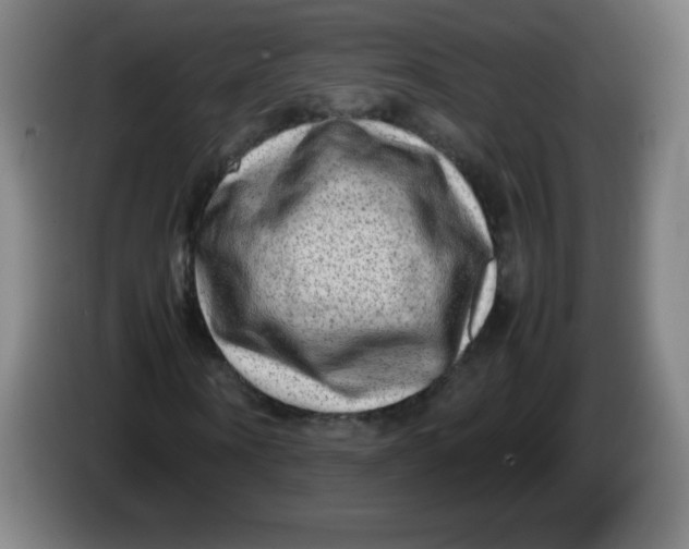 X0000086280866200704191944