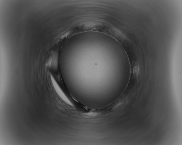 X0000086280868200704191944