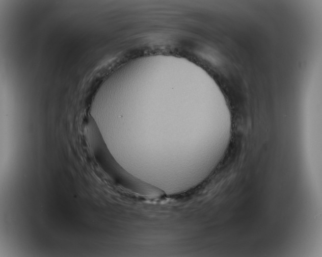 X0000086280869200704191944