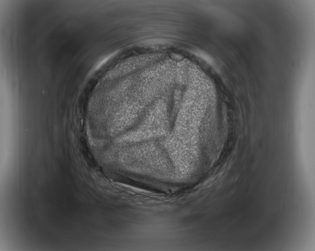 X0000086280871200704191944