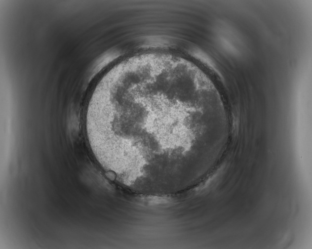 X0000086280874200704191944