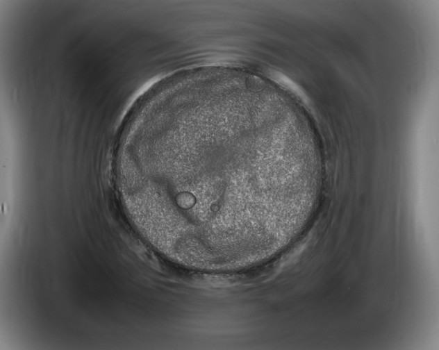 X0000086280875200704191944