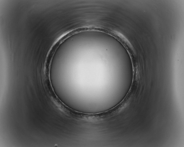 X0000086280876200704191944