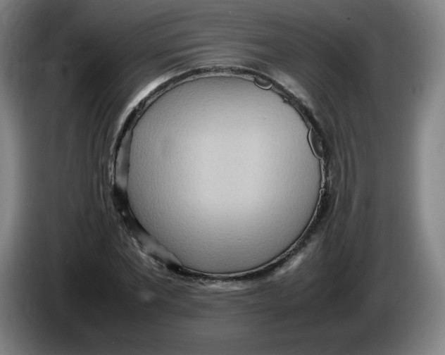 X0000086280877200704191944