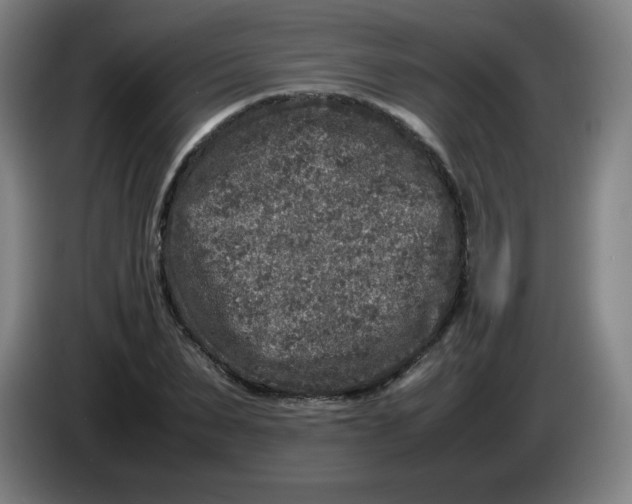 X0000086280879200704191944