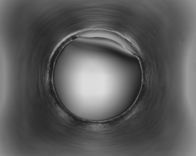 X0000086280880200704191944