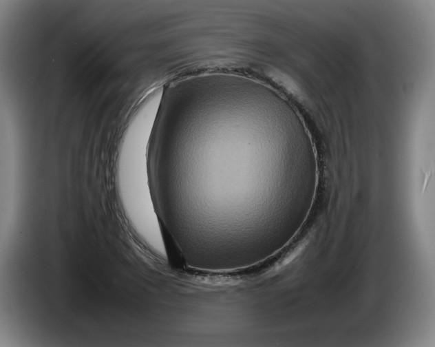 X0000086280881200704191944