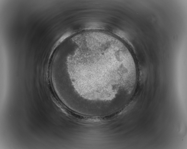 X0000086280882200704191944