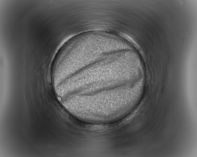 X0000086280883200704191944