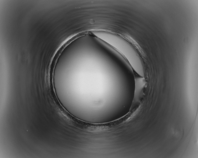 X0000086280884200704191944