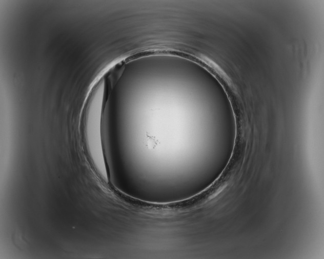 X0000086280885200704191944