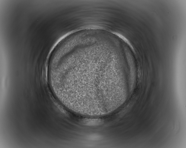 X0000086280886200704191944