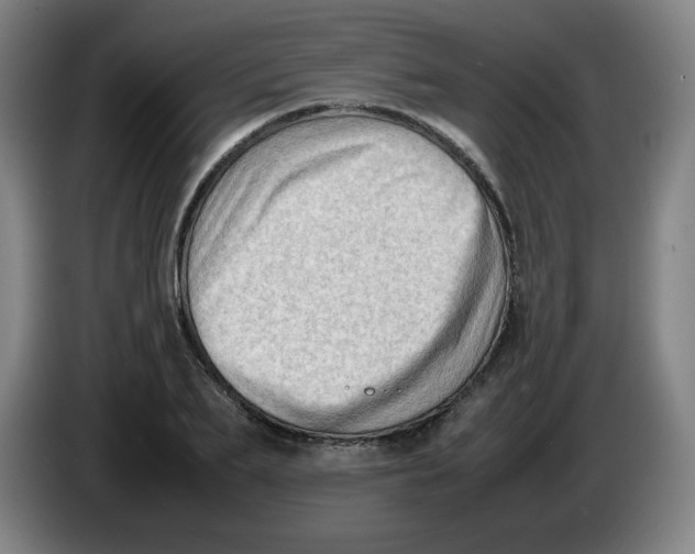 X0000086280887200704191944