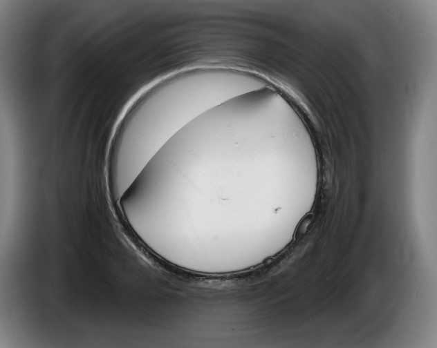 X0000086280888200704191944