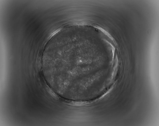 X0000086280889200704191944