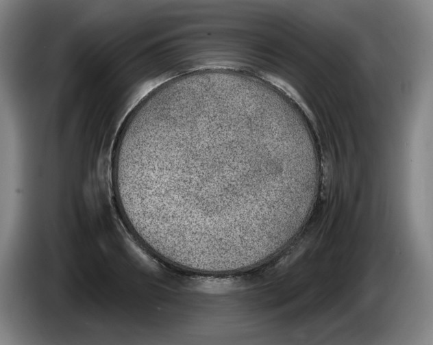 X0000086280890200704191944