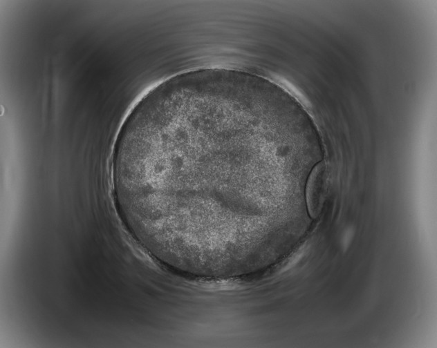 X0000086280891200704191944