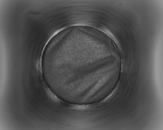 X0000086280892200704191944