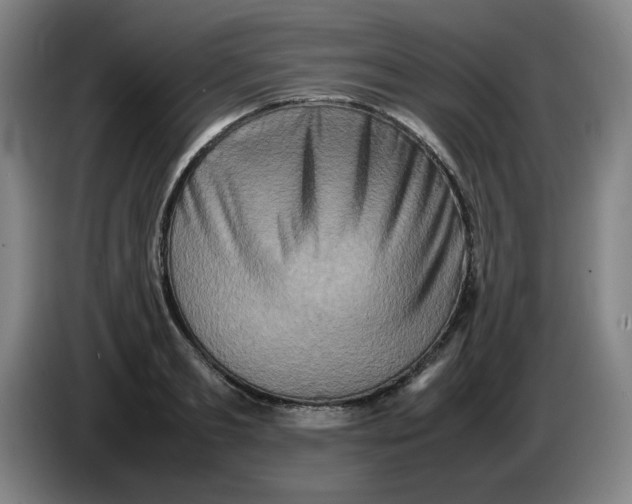 X0000086280893200704191944