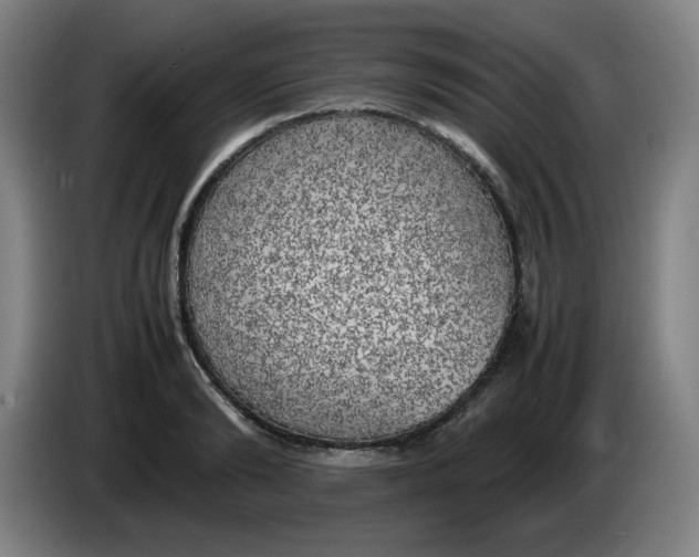 X0000086280894200704191944