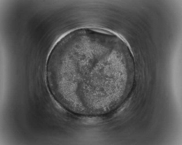 X0000086280895200704191944