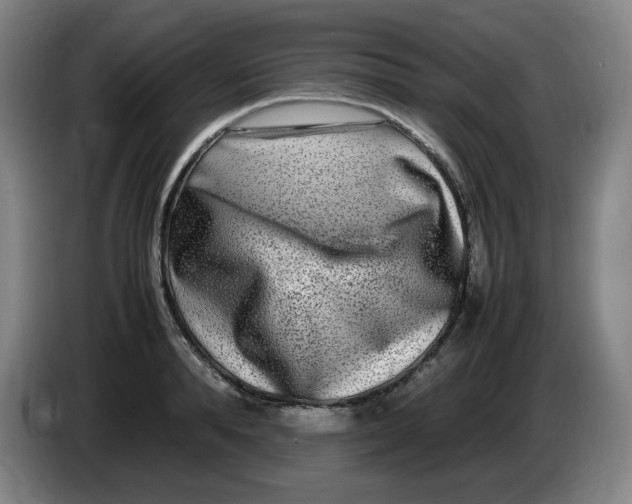 X0000086280896200704191943