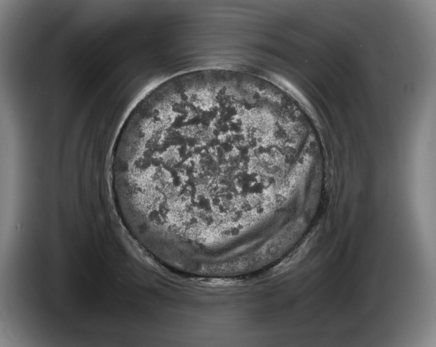 X0000086280899200704191943