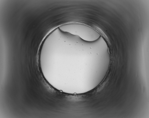 X0000086280900200704191943