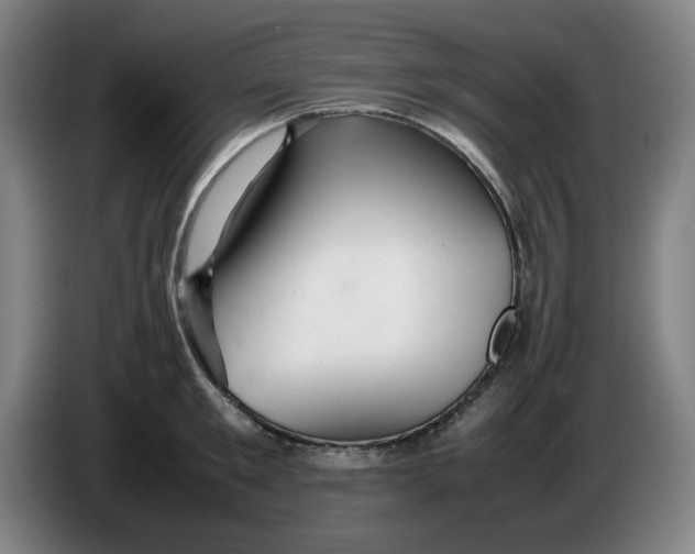 X0000086280901200704191943