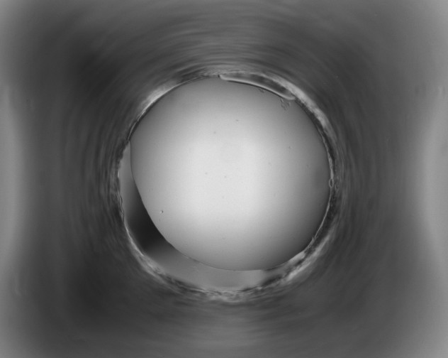 X0000086280905200704191943